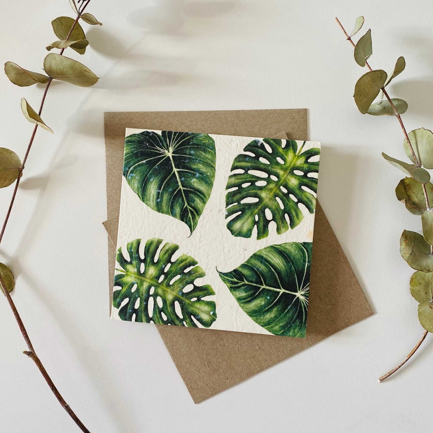 Cards - Plantable Seed - Eco Patch