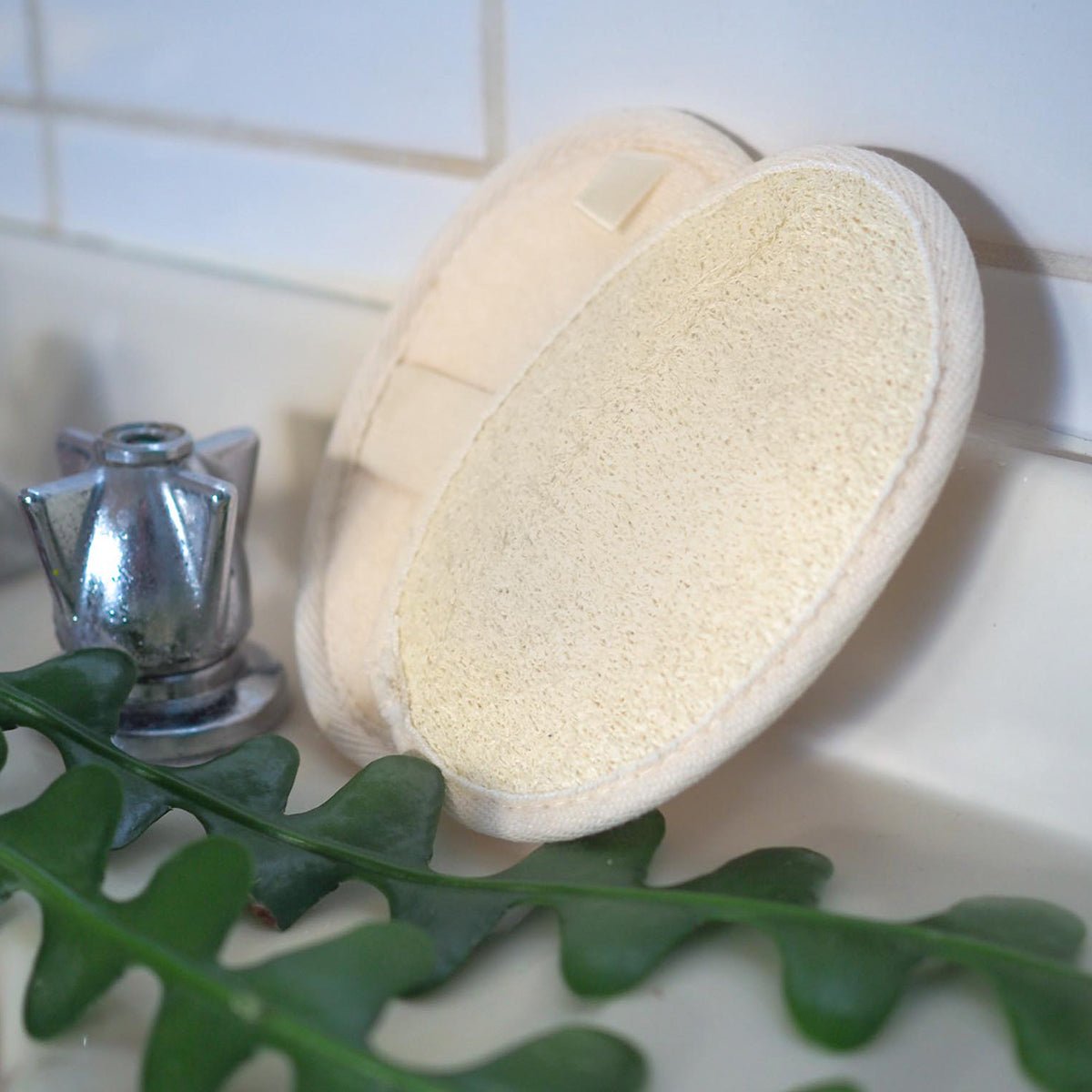 Loofah - Body - Compostable - Eco PatchCompostable