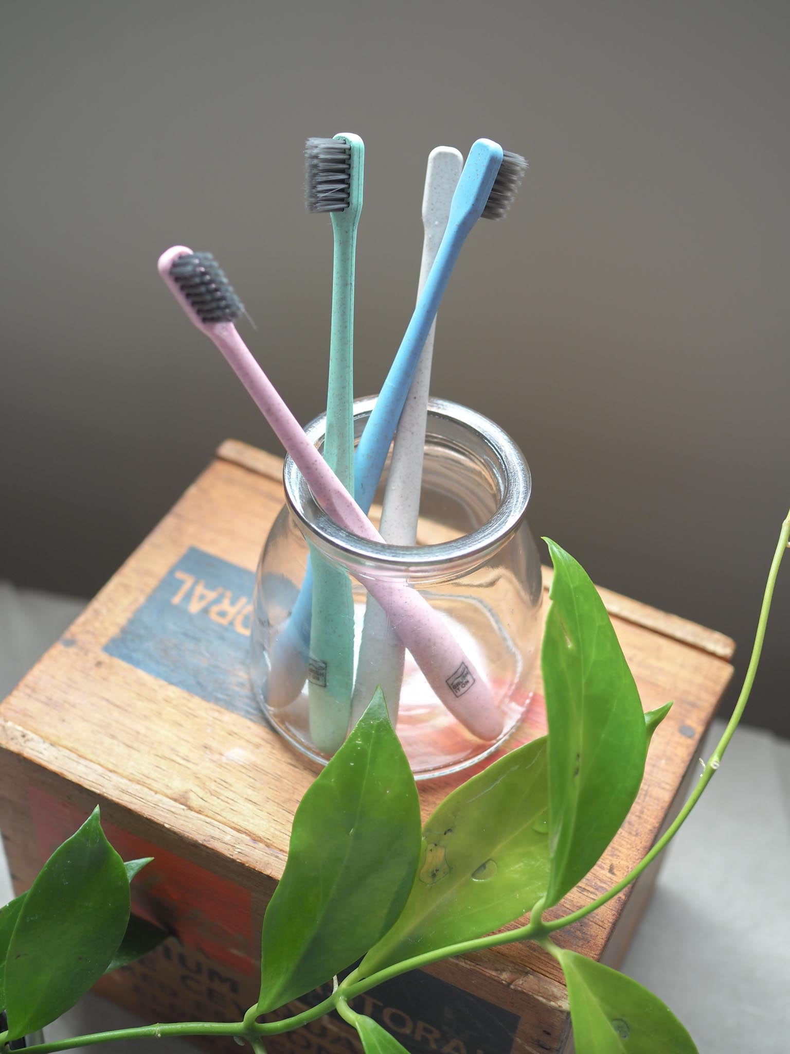 Toothbrush - Wheat-Straw - Eco Patch